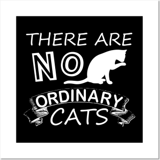 There are No Ordinary cats funny pets lovers Posters and Art